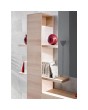 BRIN XI - TV-Schrank