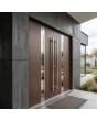 LIM C1 doppelt – moderne Aluminium-Doppelflügeltür mit Glas