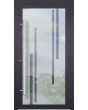 LIM Glass S10 - Alu mattierte Haustür mit transparentem Dekor