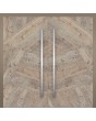 LIM WOODLINE 3 Double - aluminum double door covered Fir Platinum wood imitation