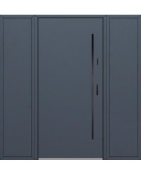 Fargo 1 T - Haustür mit großem Seitenteilen