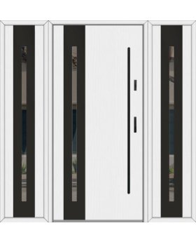 Fargo 26B T - Eingangstüren aus Metall mit zwei Seitenteilen