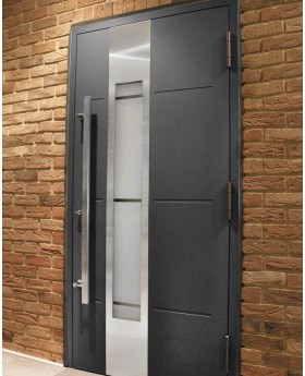 LIM W321- Eingangstür Aluminium